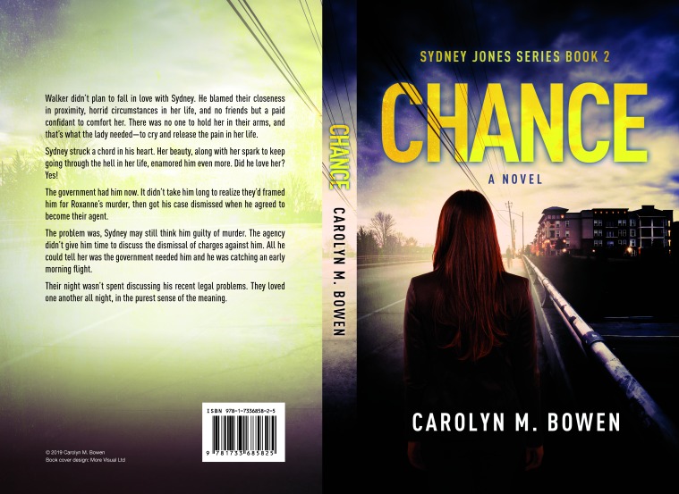 Chance A-Novel Paperback Preview